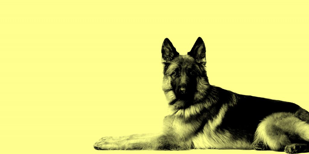 Ottawa's Bed Bug & Pest Heat treatment I The Bed Bug CoOp